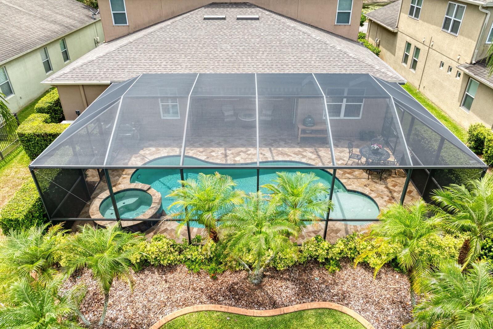 Tropical pool landscaping