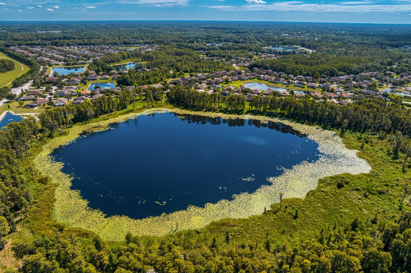 Lake Grace at Stonebrier