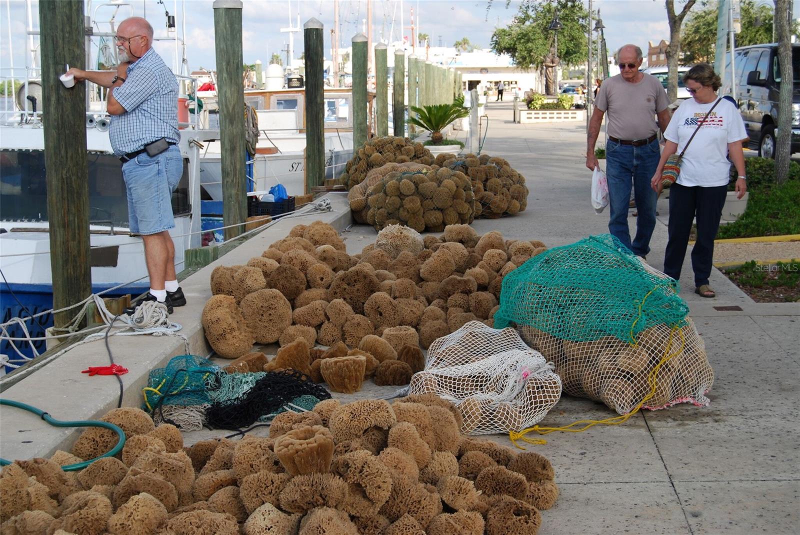 Tarpon Sponge docks