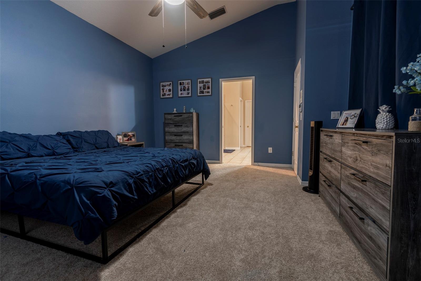 Expansive Owner's Retreat