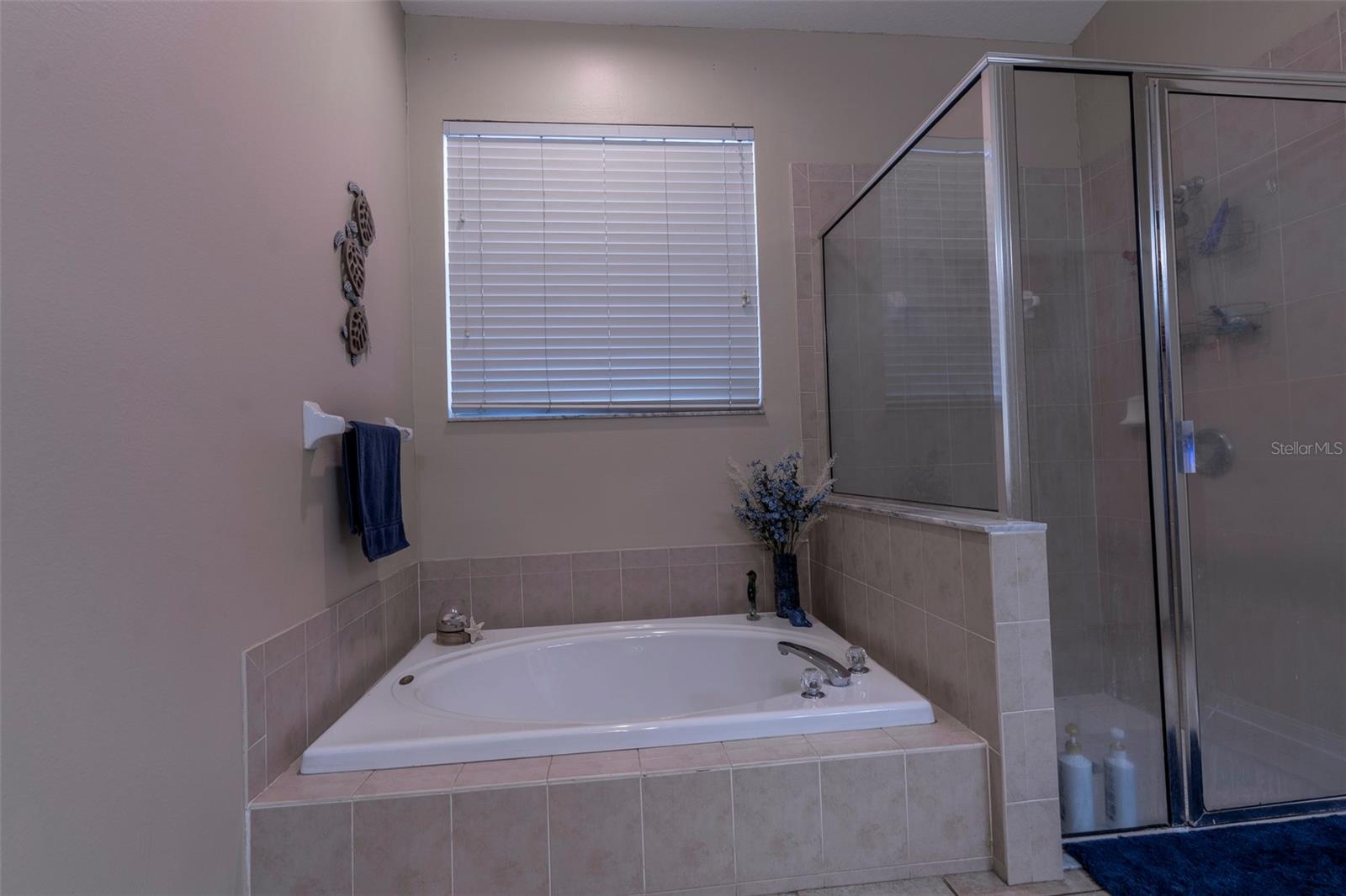 Seperate Shower & Tub