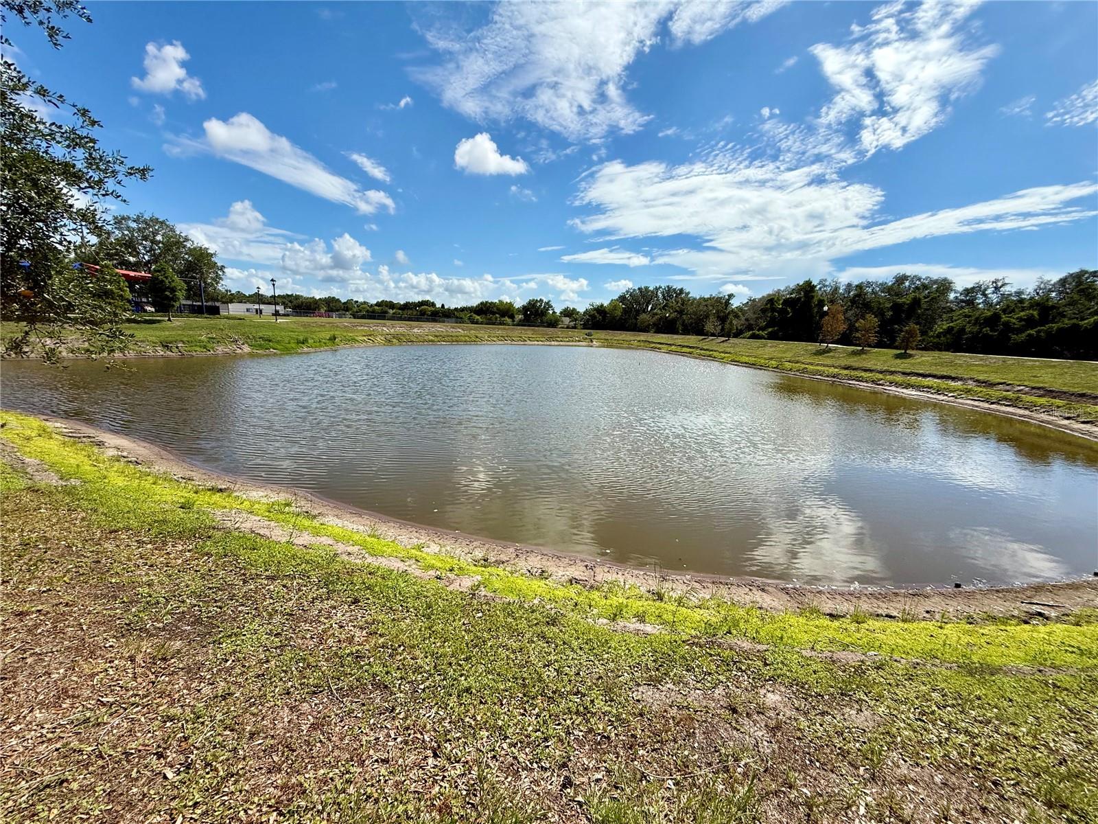 Pond View