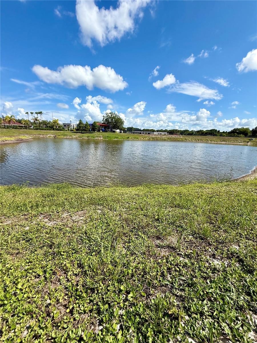 Pond View