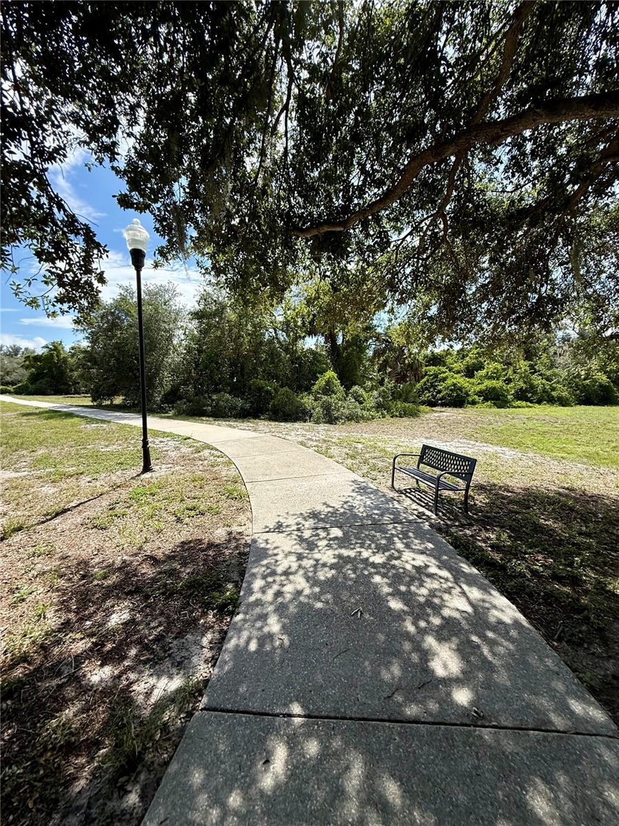 Park Bench
