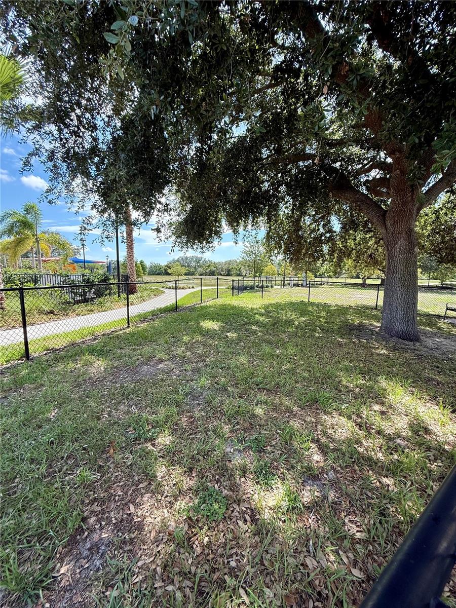 Dog Park