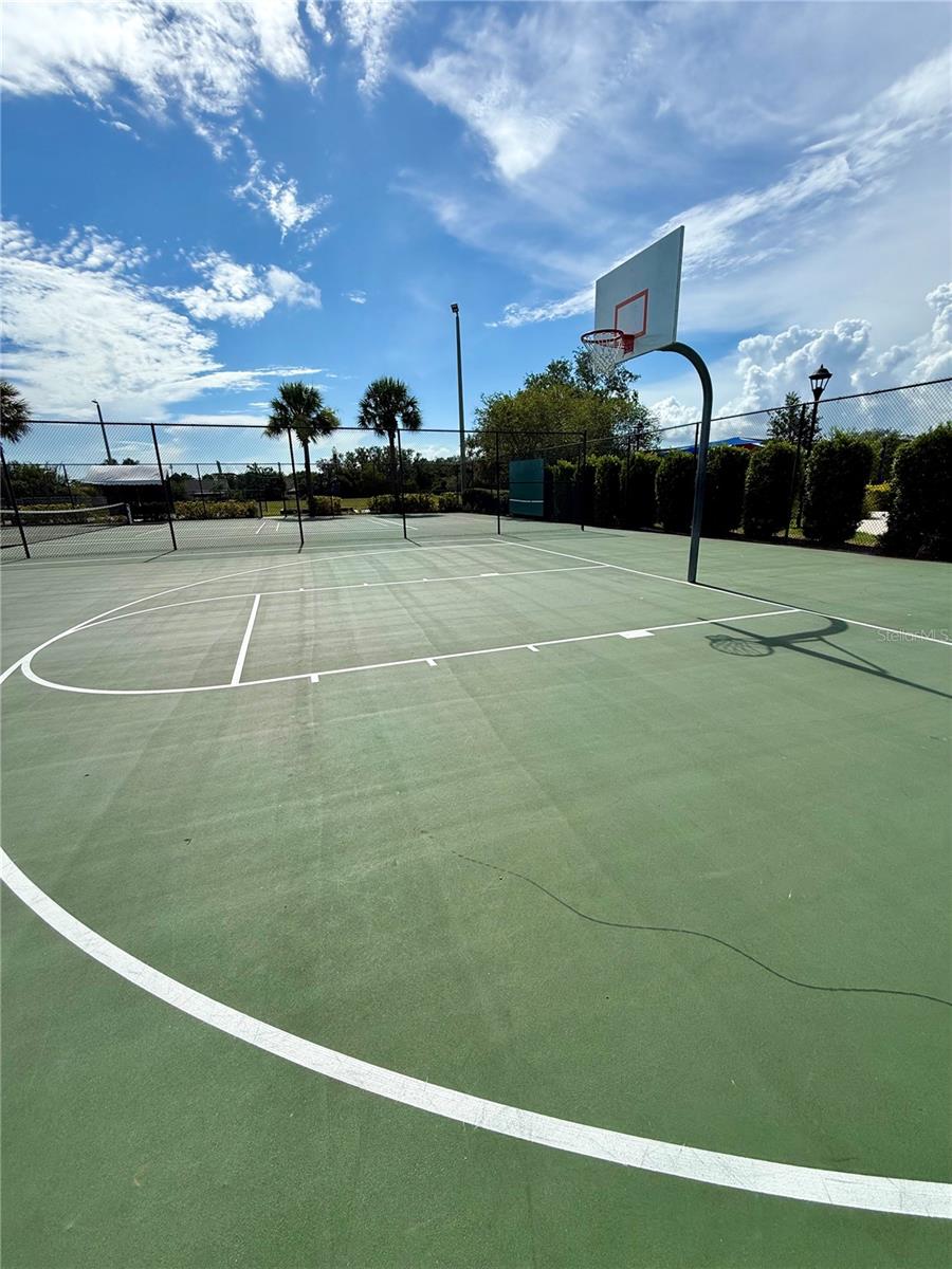 Basket Ball Court