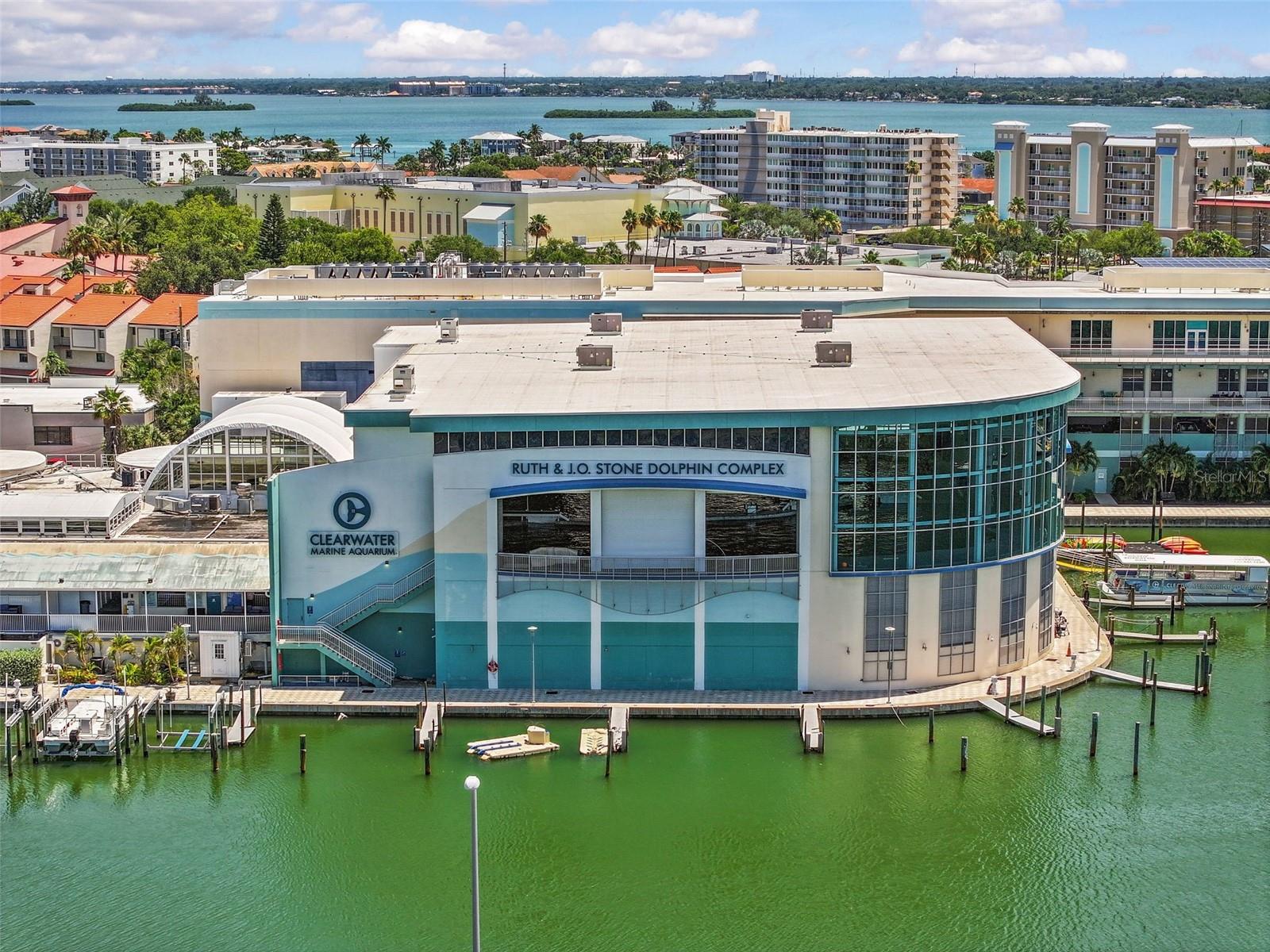 Clearwater Marine Aquarium