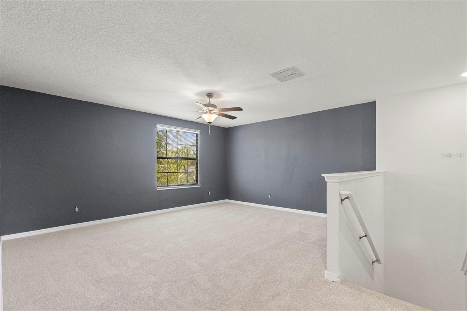 Bonus/loft space upstairs