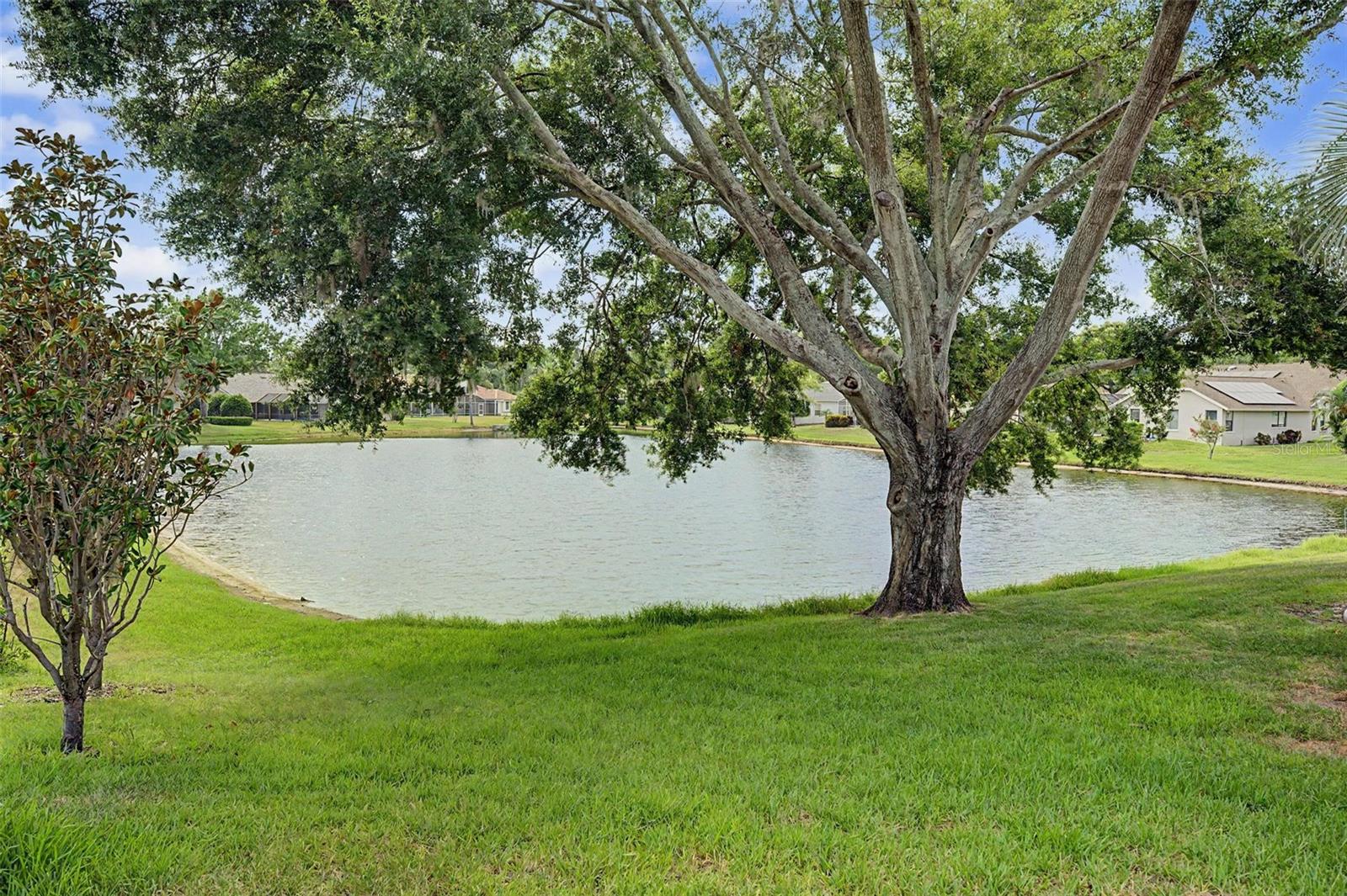 W7887063