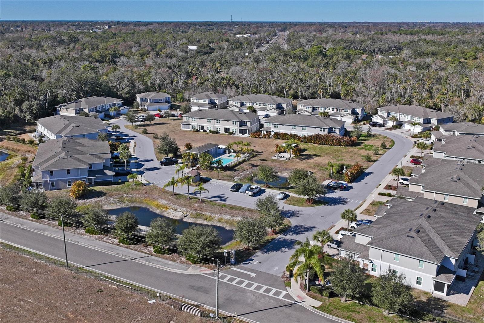 W7887065