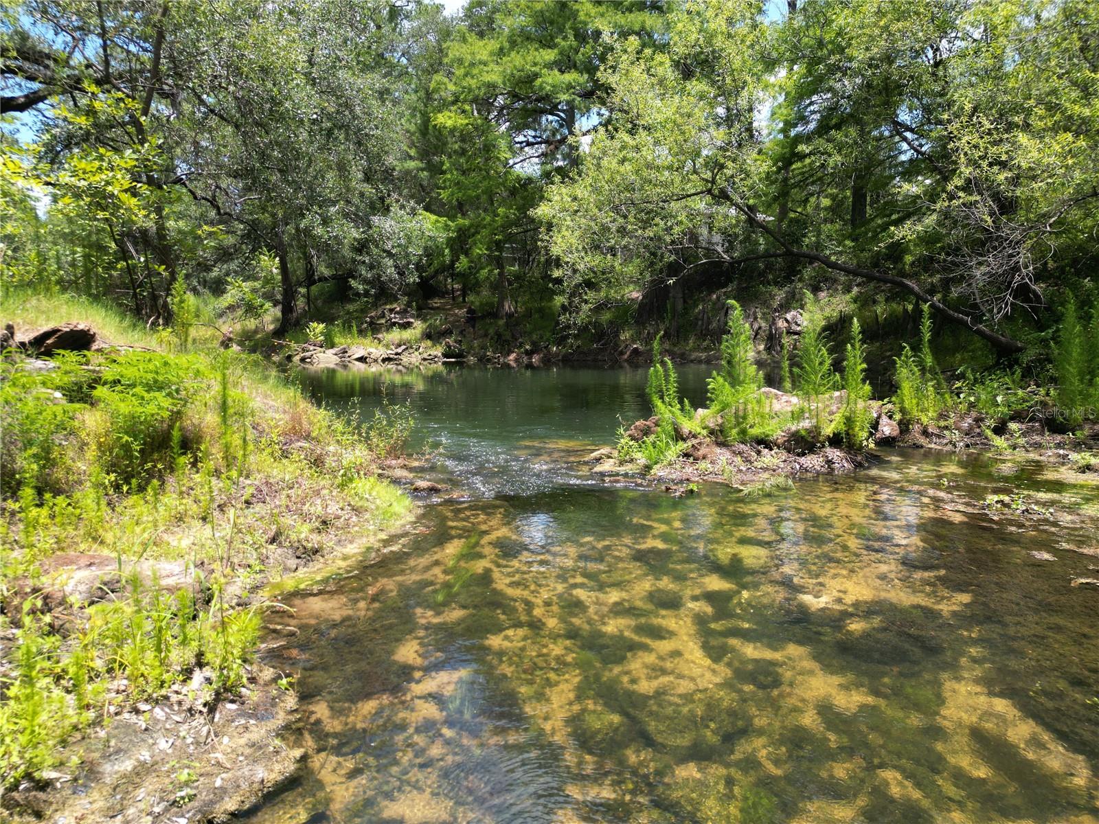 TRULY A WILDLIFE SANCTUARY