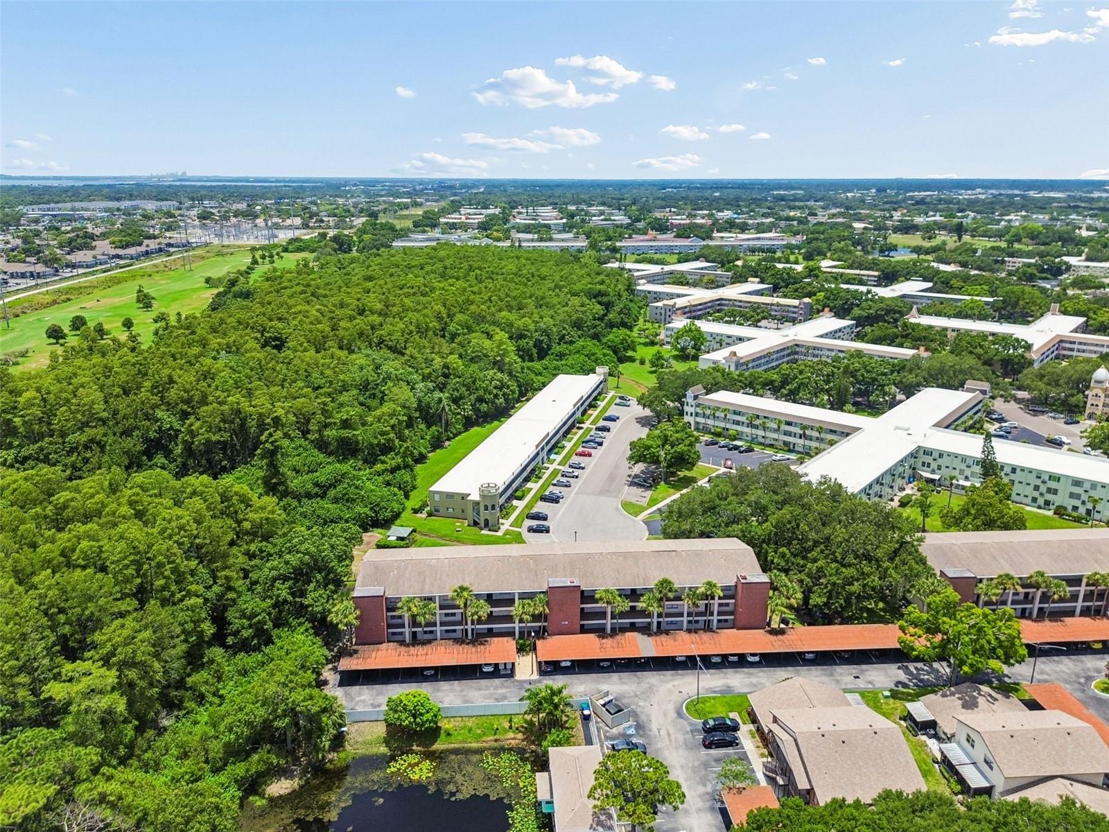 Aerial view of #2438 with OTOW condos behind, OTOW golf course to the left and pond view in front (lower left).