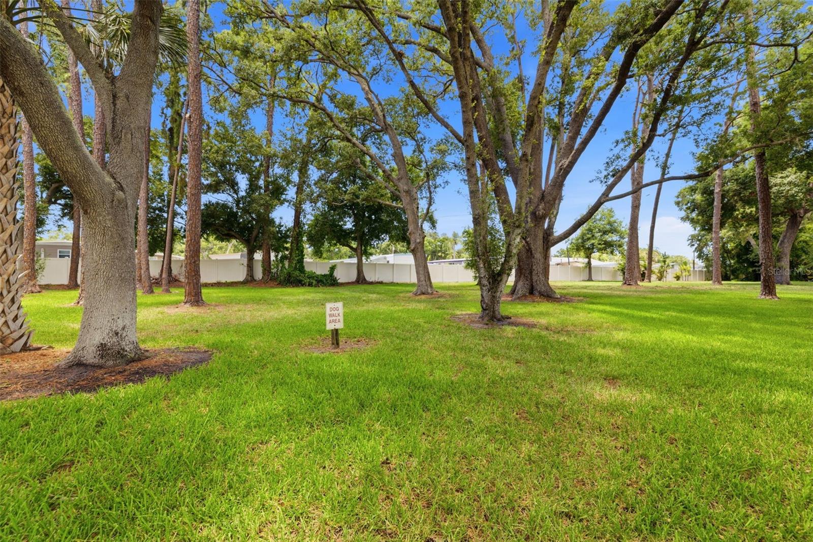 Dog walk area