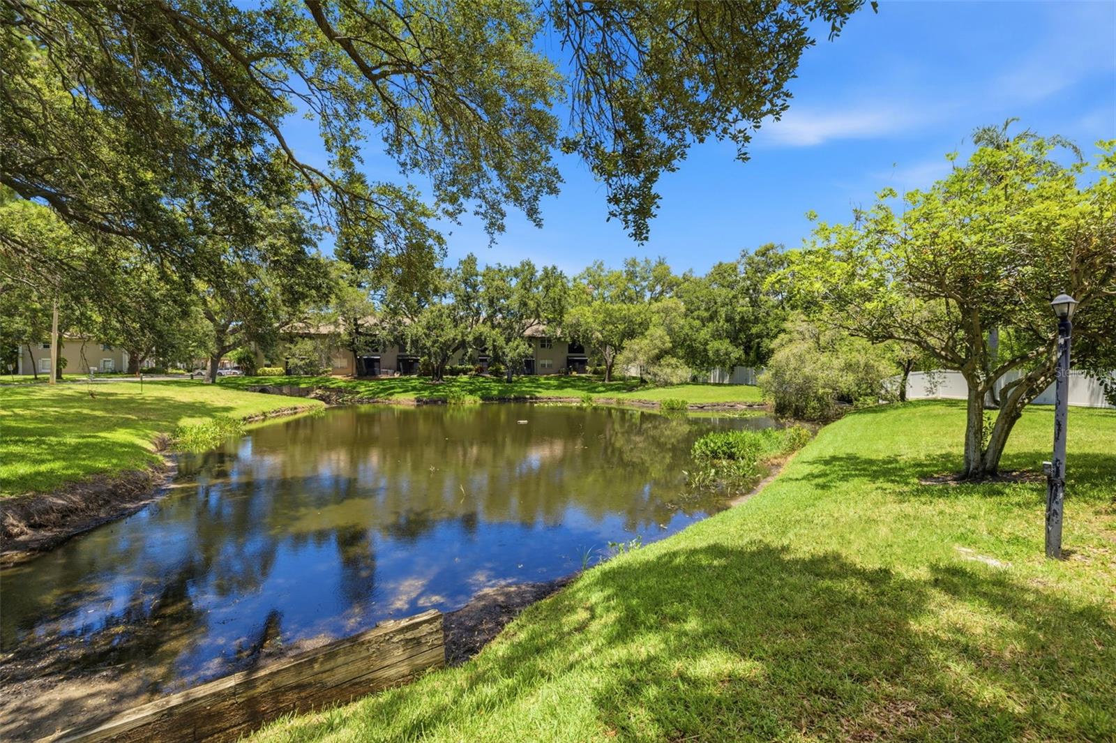 lake view