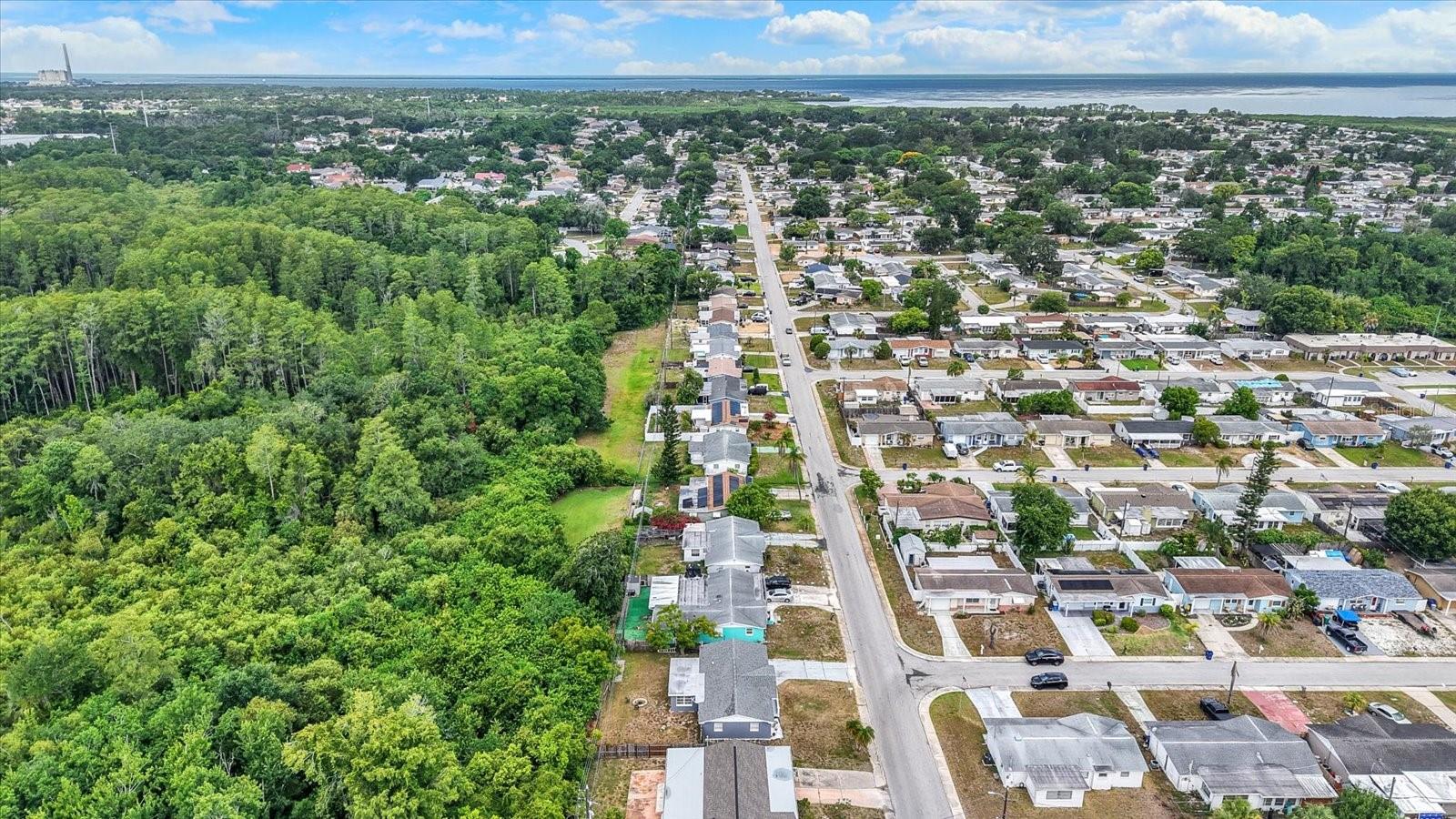 arial drone neighborhood view