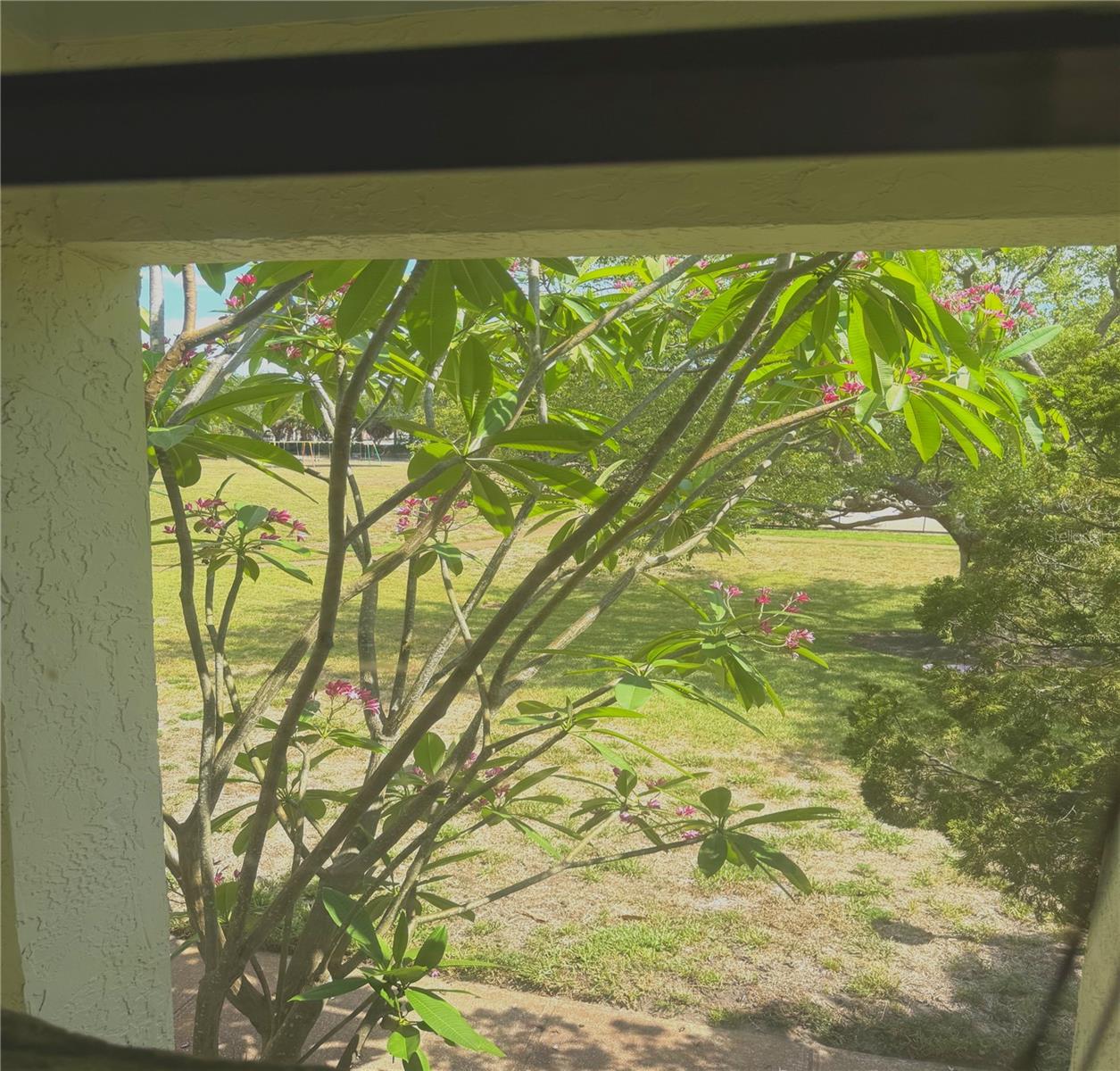 Front Porch View