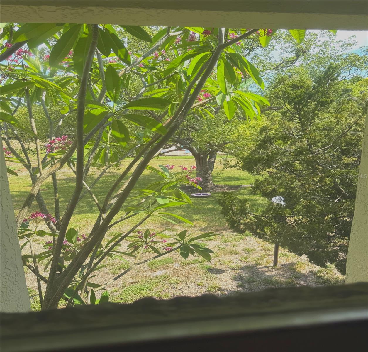 View from Master Bedroom