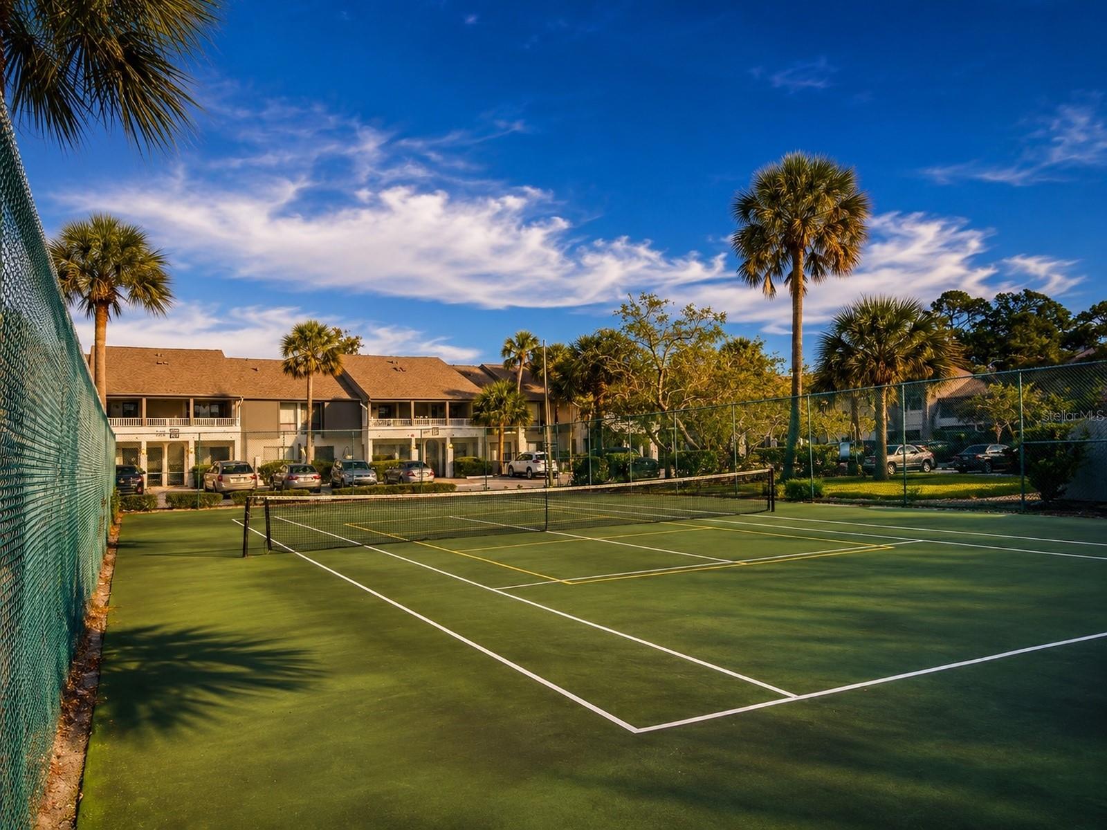 PB Court
