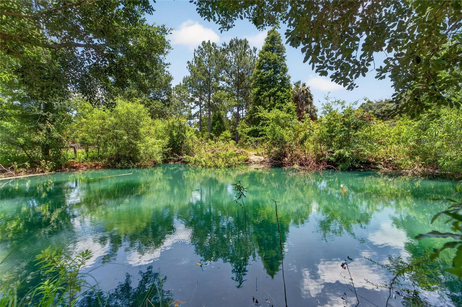 Pond
