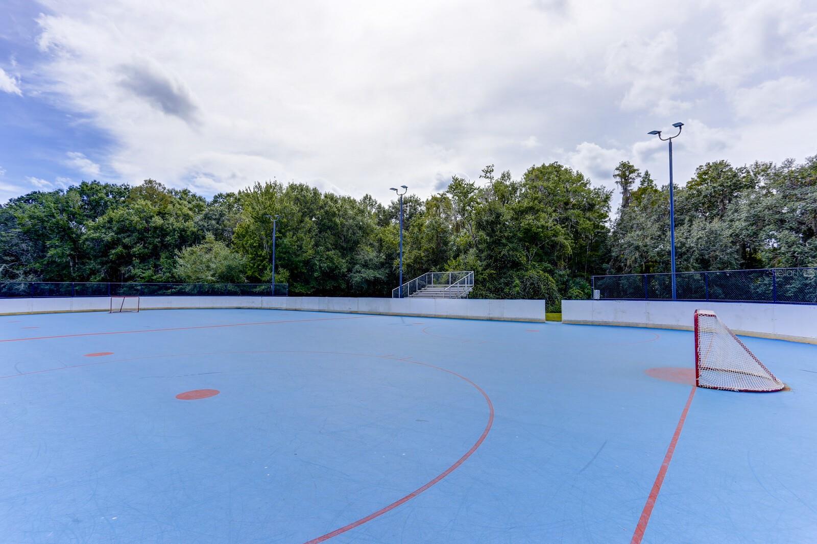 Roller Hockey Rink