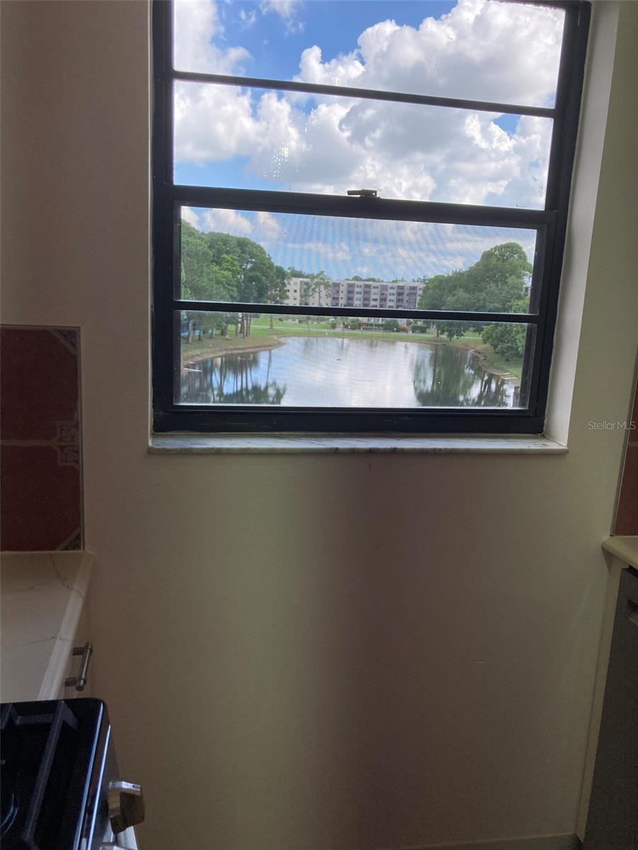 Kitchen window looks out over the pond