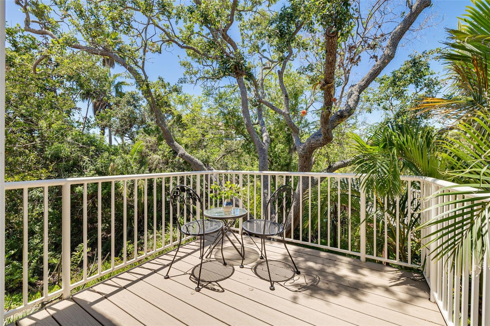 Private Deck off the Primary Suite