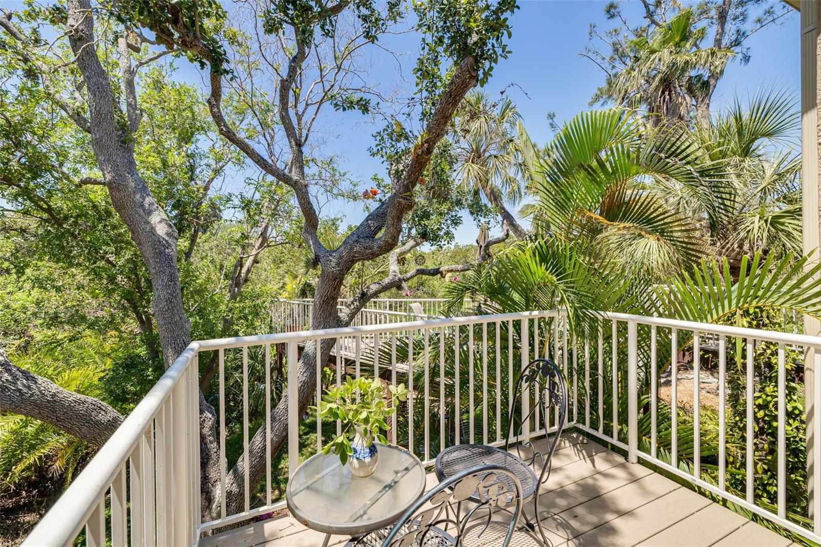 Private Deck off the Primary Suite