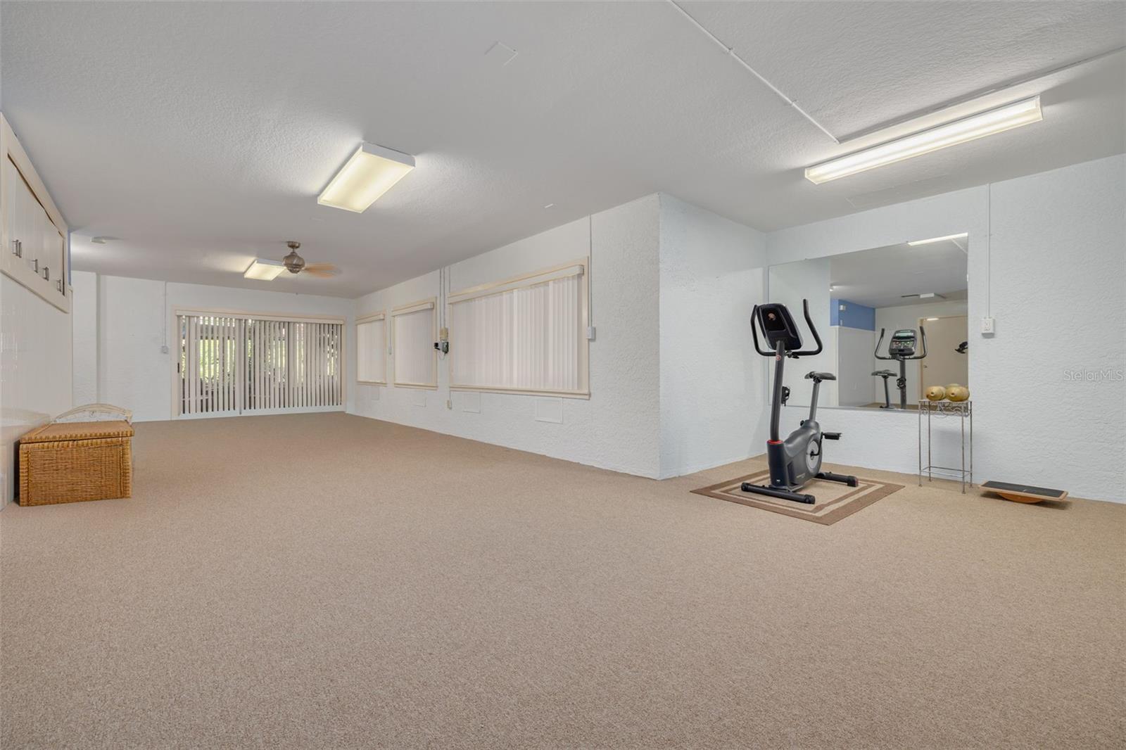Lower Level makes a great home gym!