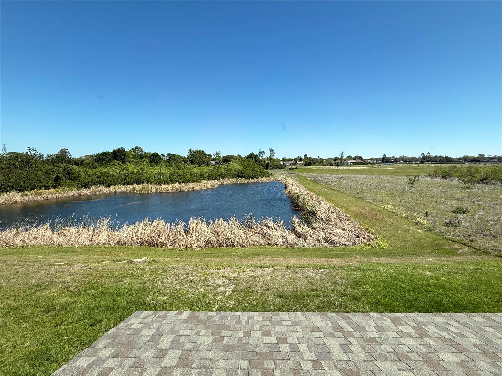 Backyard water view