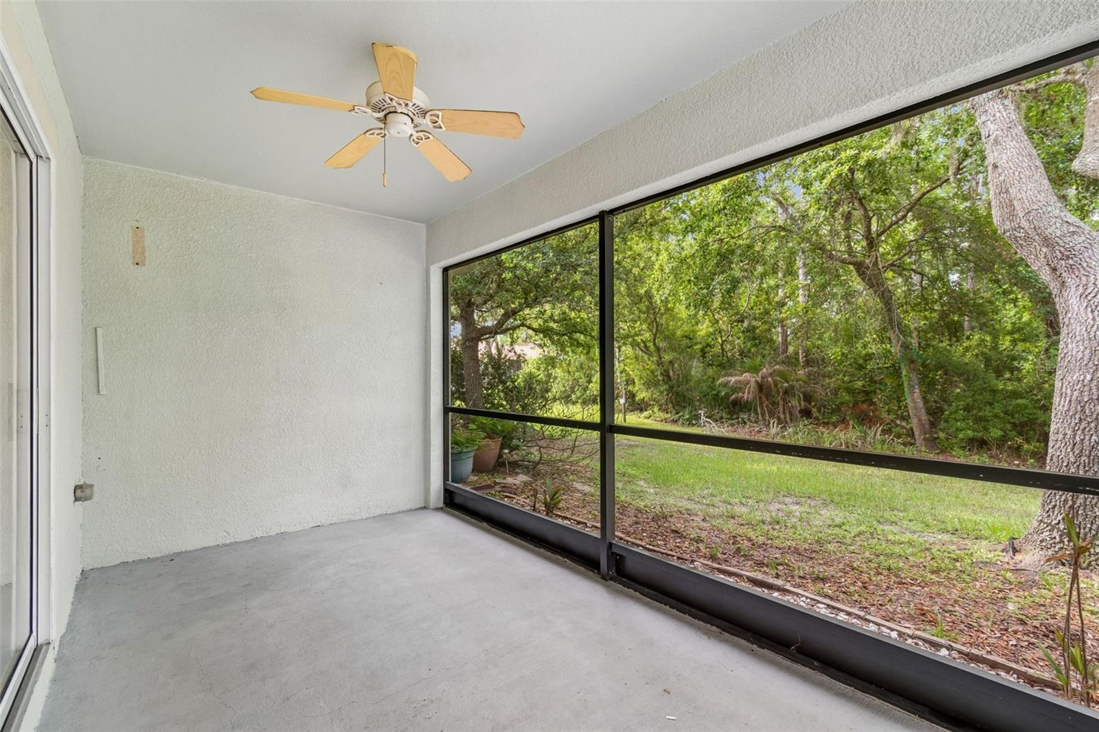 Lanai |ceiling fan