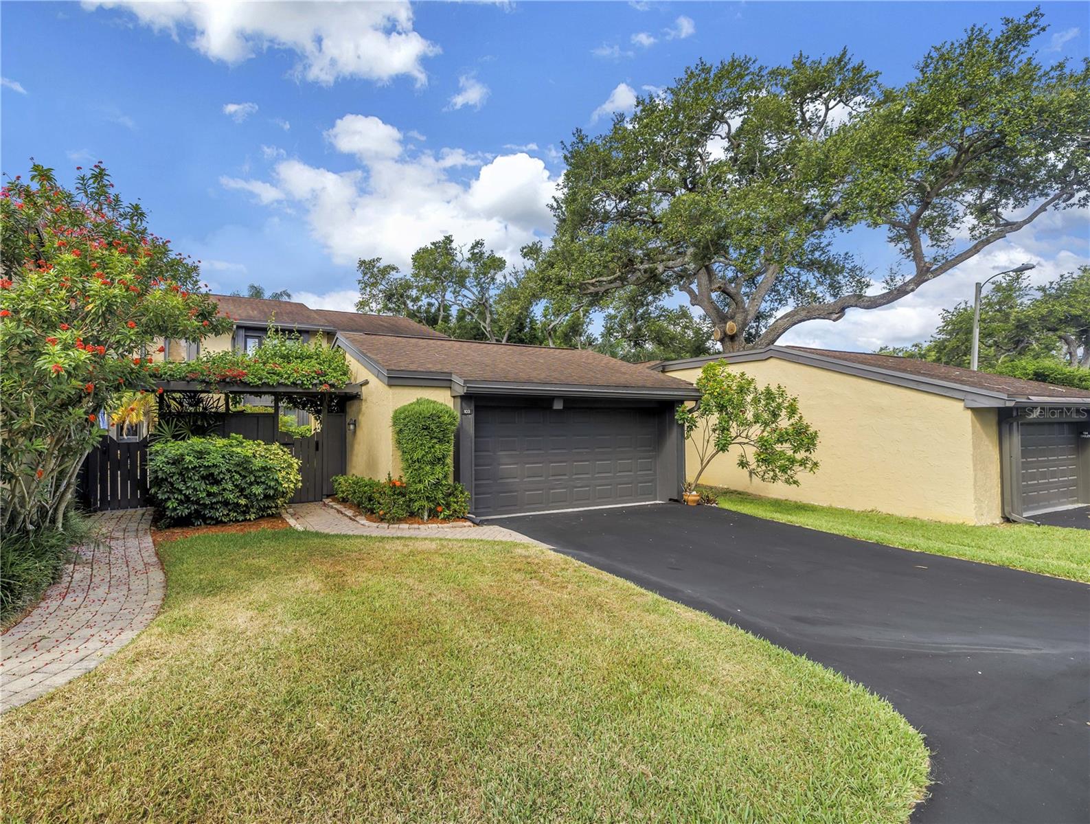 Great driveway!