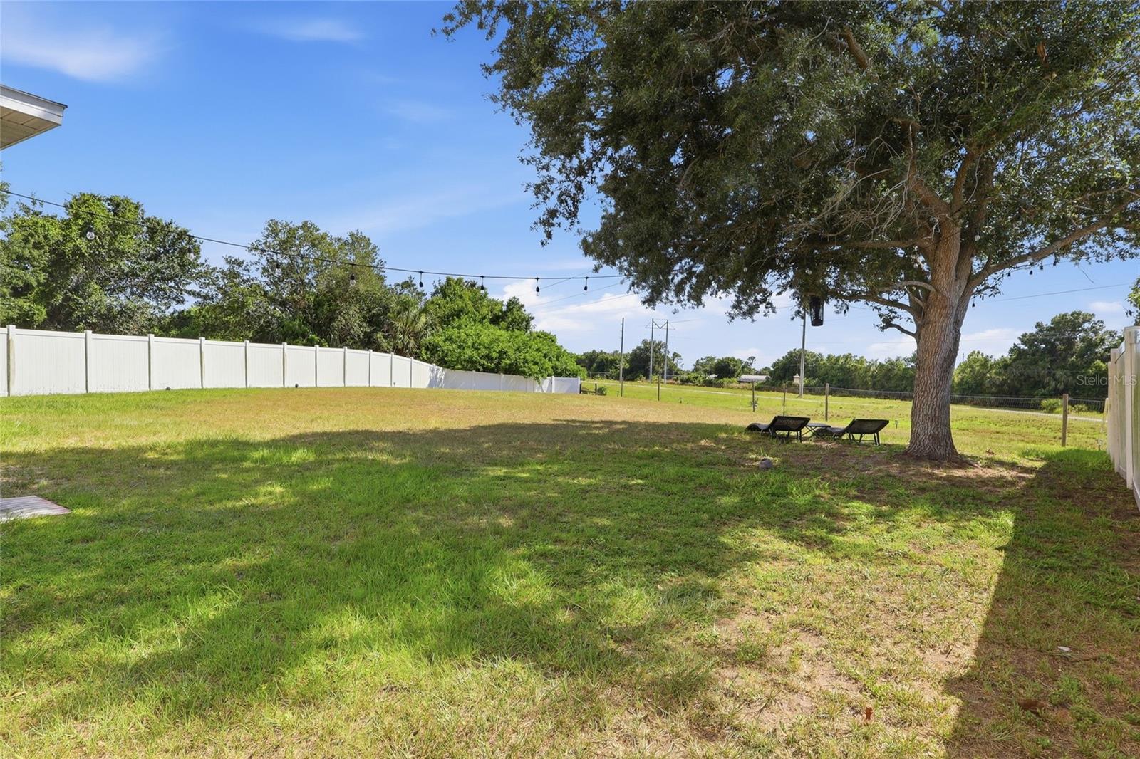 Oversized fenced backyard with mature oak tree and cafe lights