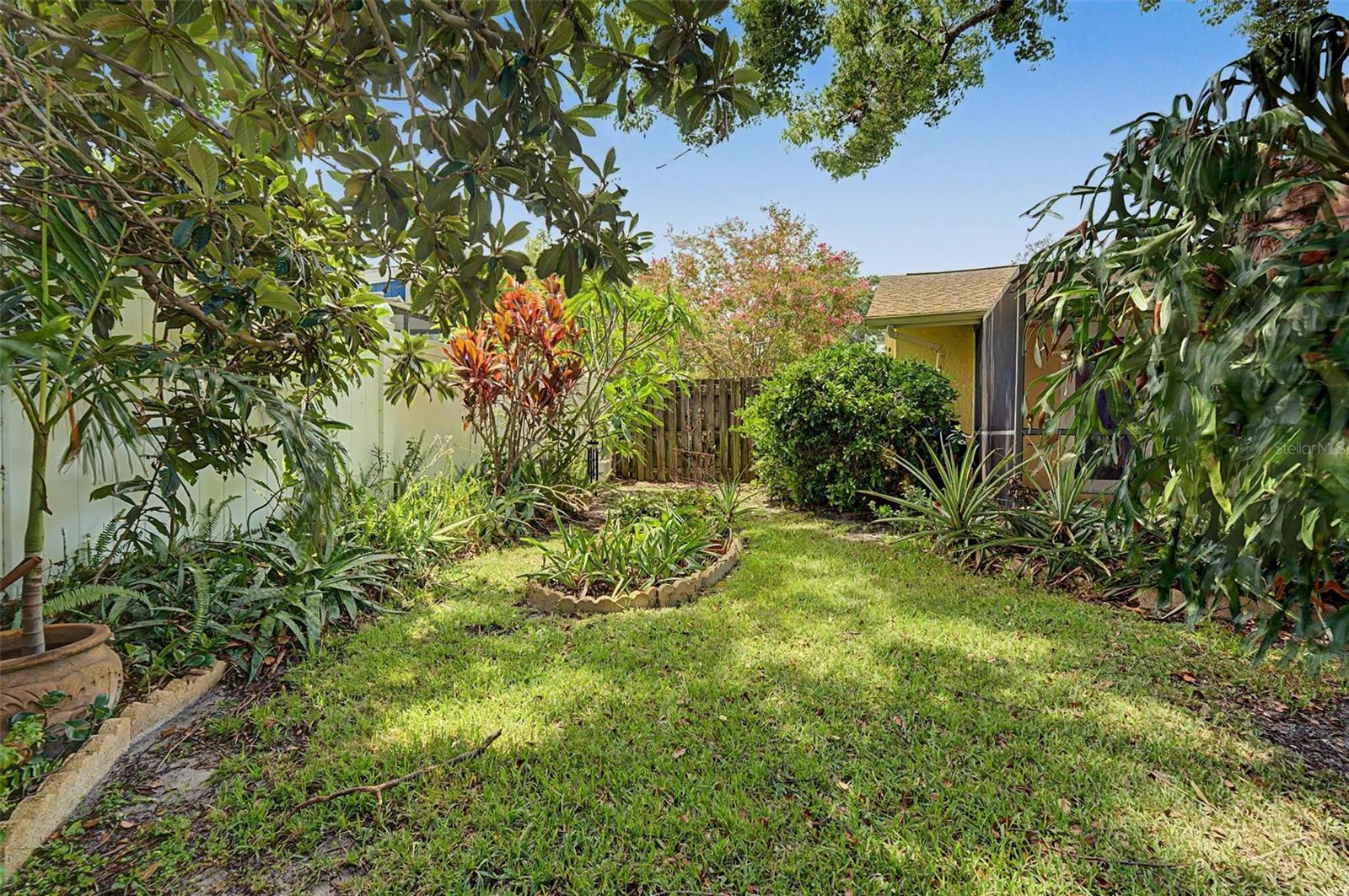 PLENTY of GREEN SPACE IN BACK YARD!  This is just some of it...