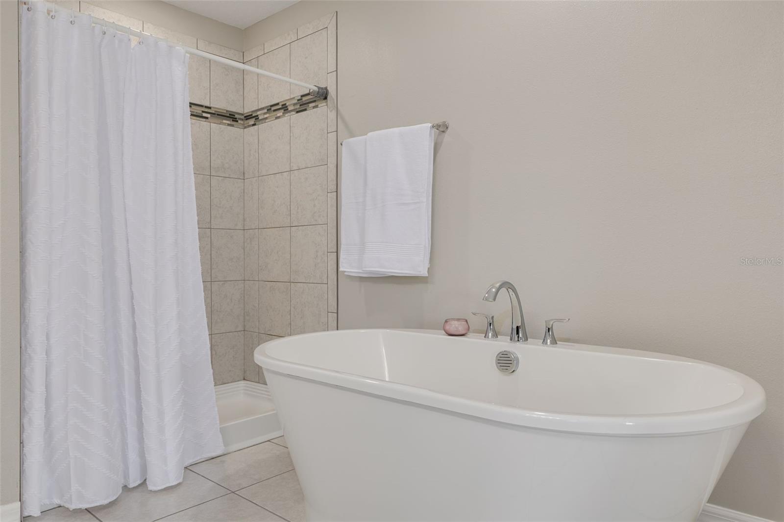 Primary Shower and Tub