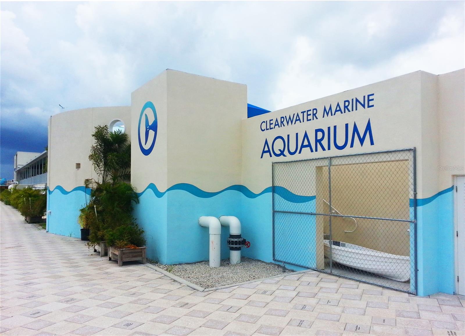 Clearwater Aquarium