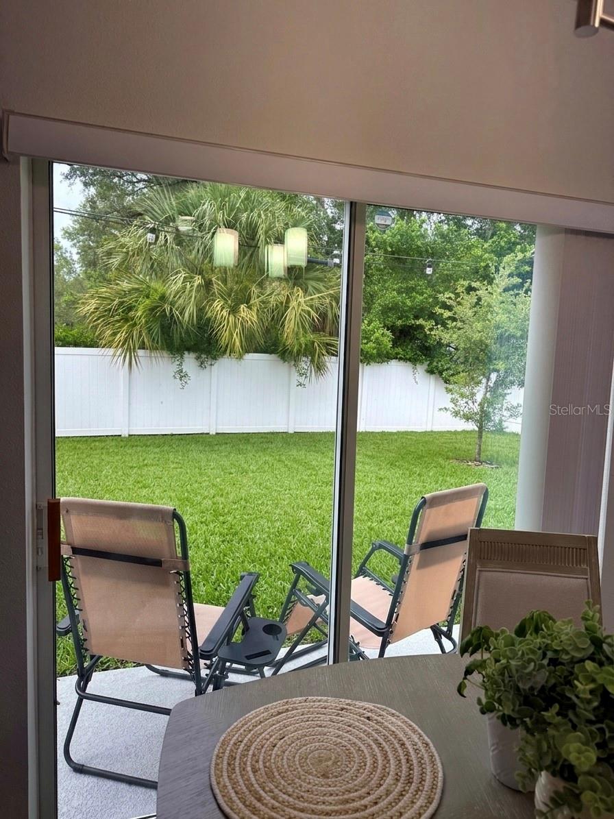 Look into backyard from kitchen