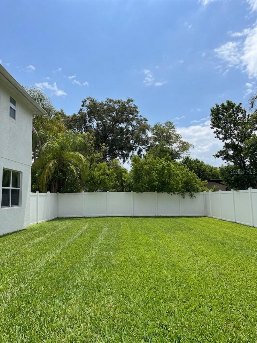 Backyard