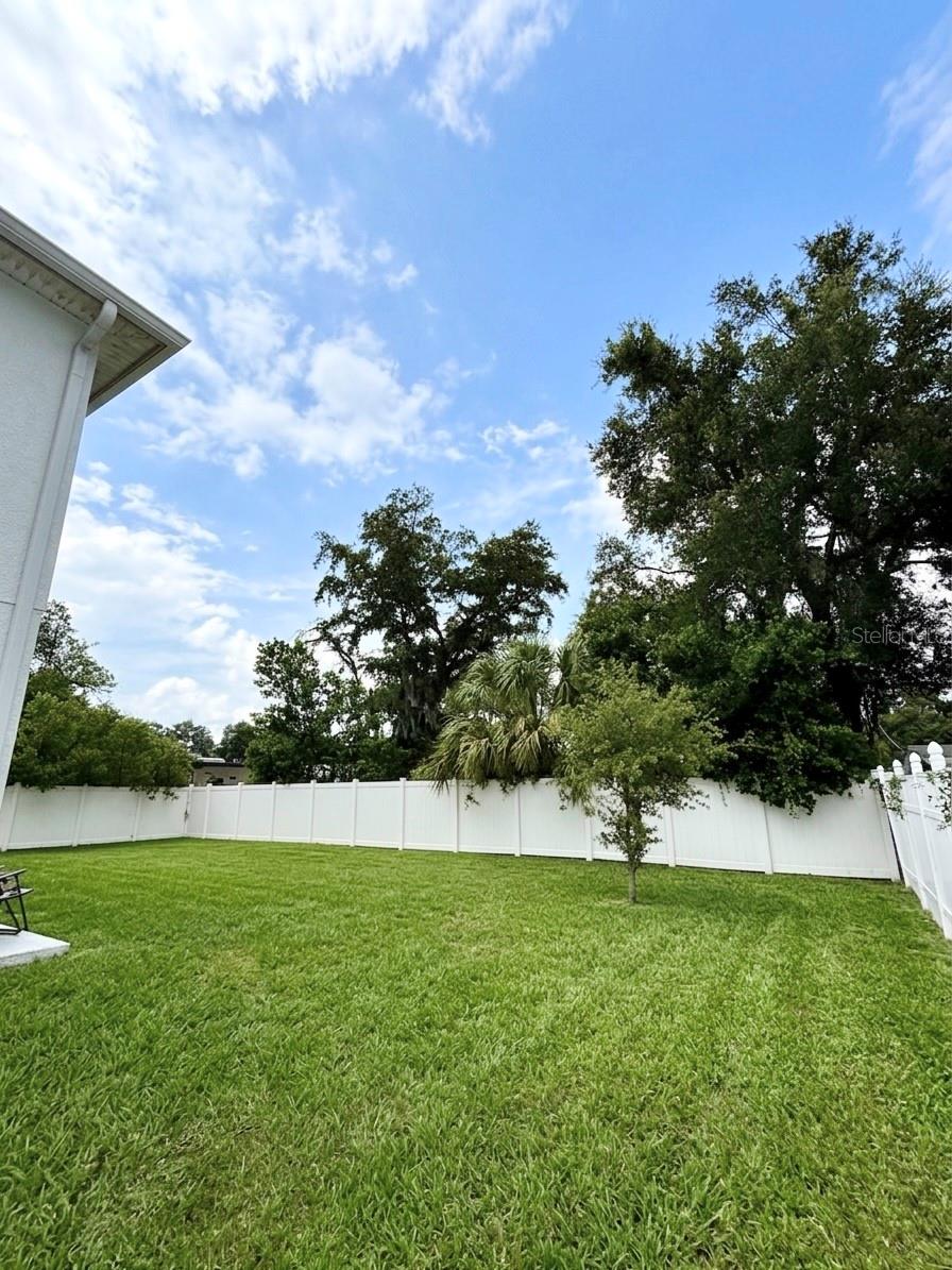 backyard