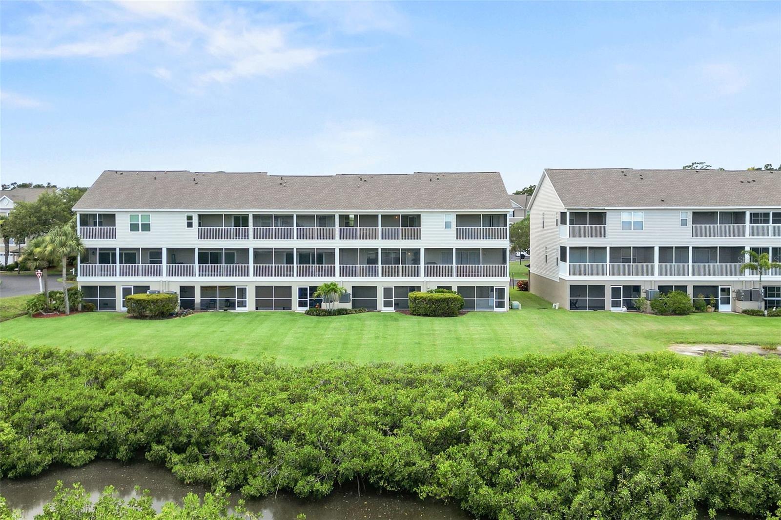 Rear of building with mangroves