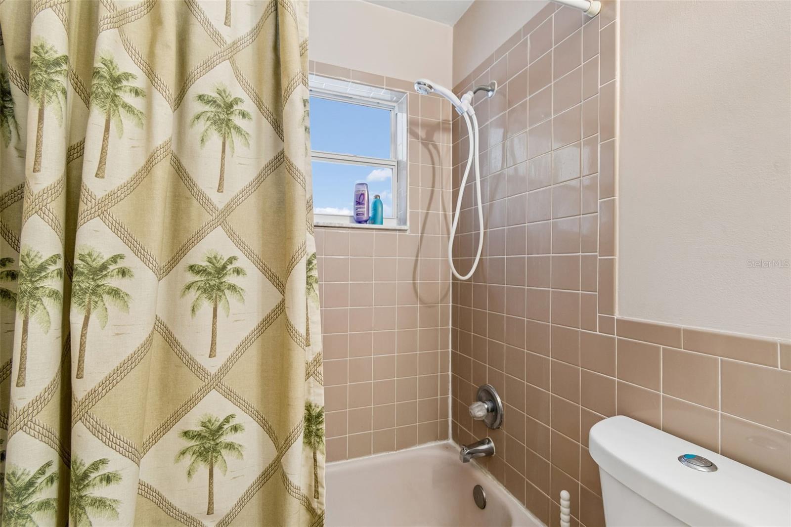 Hall Bathroom