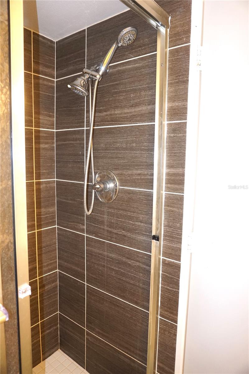 Guest Bath Shower
