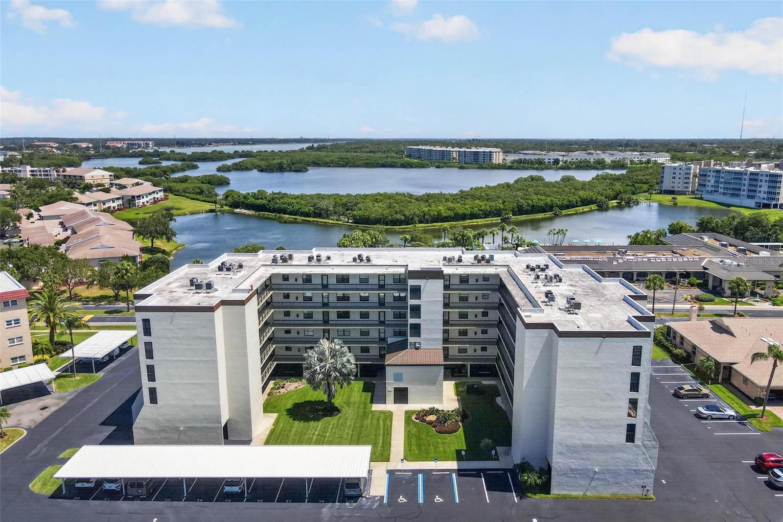 The Palms of Long Bayou