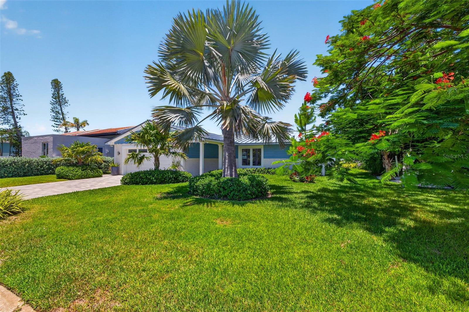 More Green Space in the Front Yard!