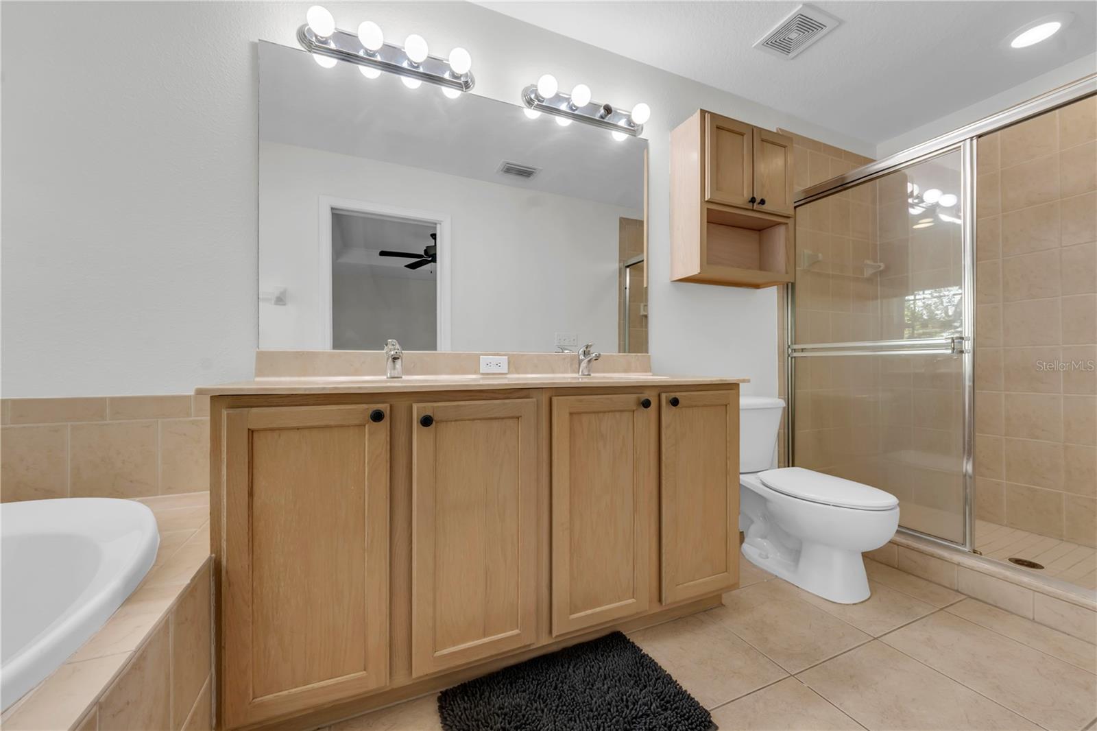MASTER BATHROOM WITH STEP IN SHOWER