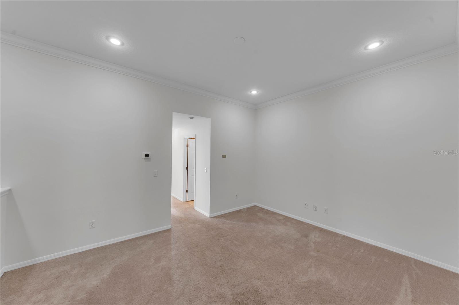 LOFT/ BONUS ROOM