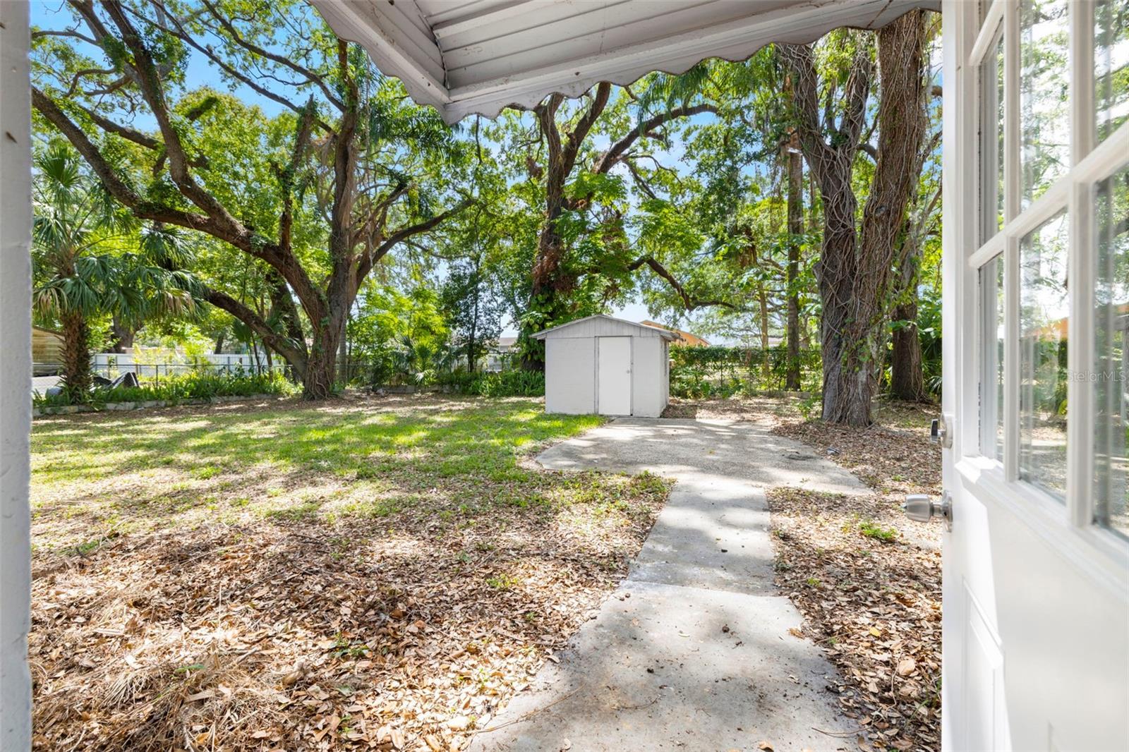 Backyard Patio & Shed