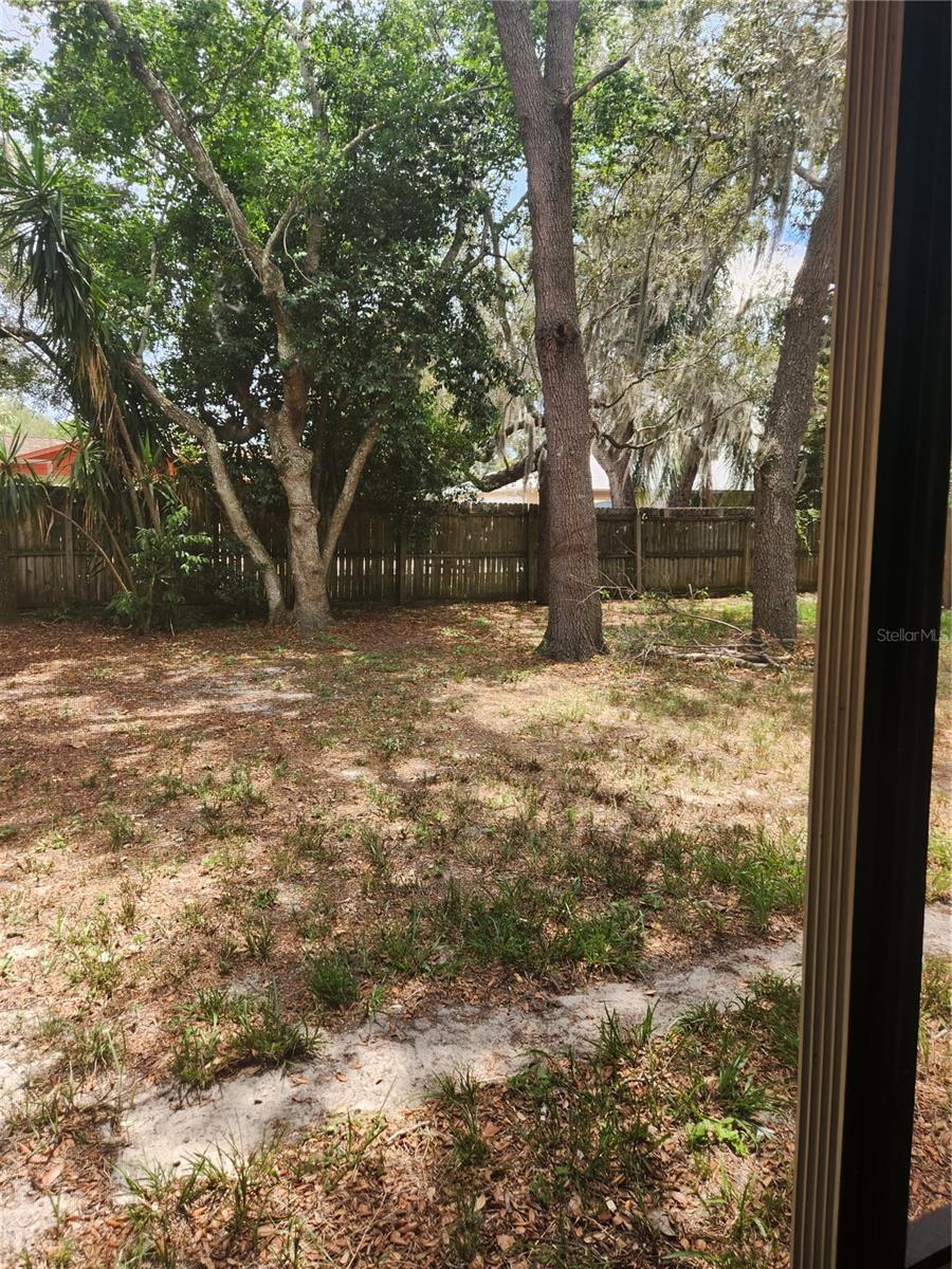 Backyard view 2