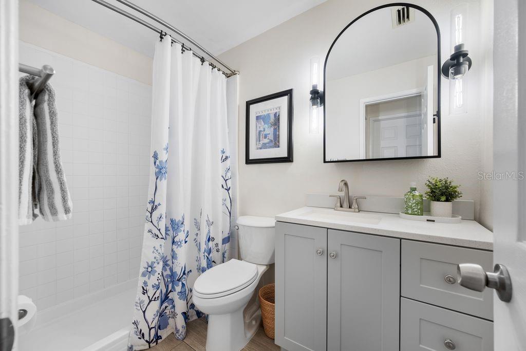 Modern and updated Bathroom - Step-In Shower, New toilet, vanity, mirror and lighting