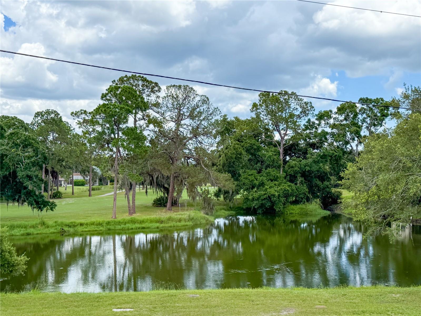 Water/Golf View
