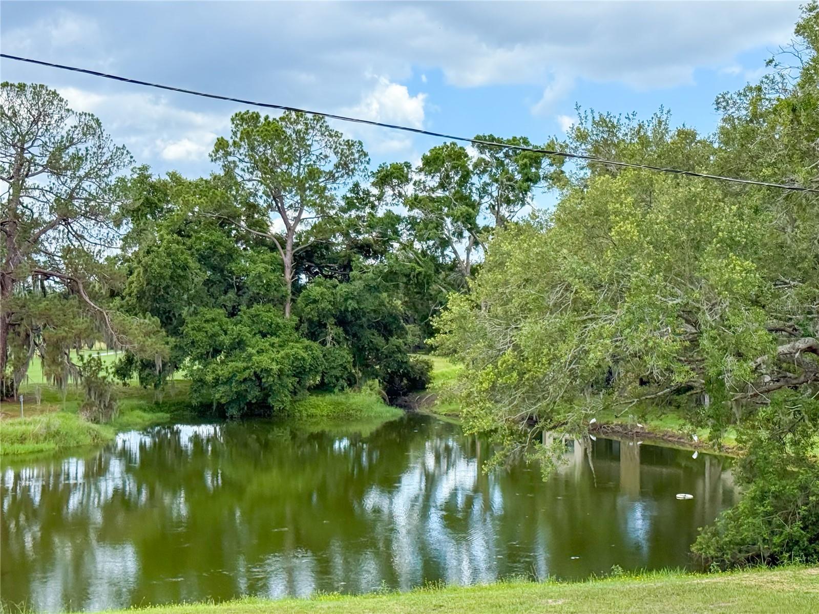 Water/Golf View